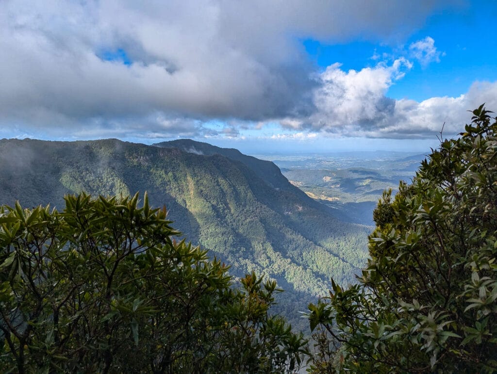Wander Through Ancient Rainforests Along Lamington National Park's 21km Border Track, Photo by Bonnie Scott, QLD, South East QLD, mountain range