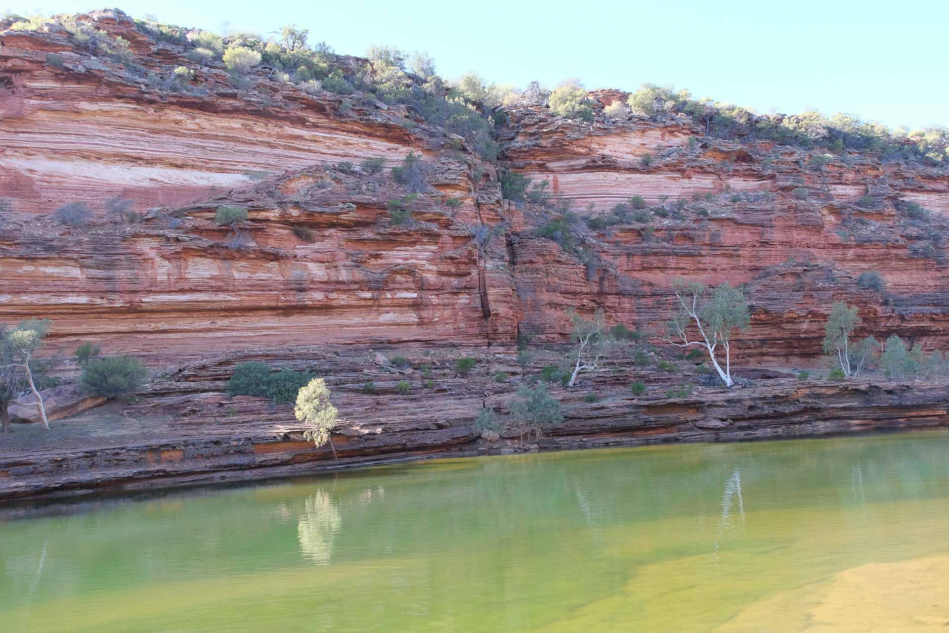 Cool green waters of Murchison River Gorge, Lisa Ikin, kalbarri national park, western australia