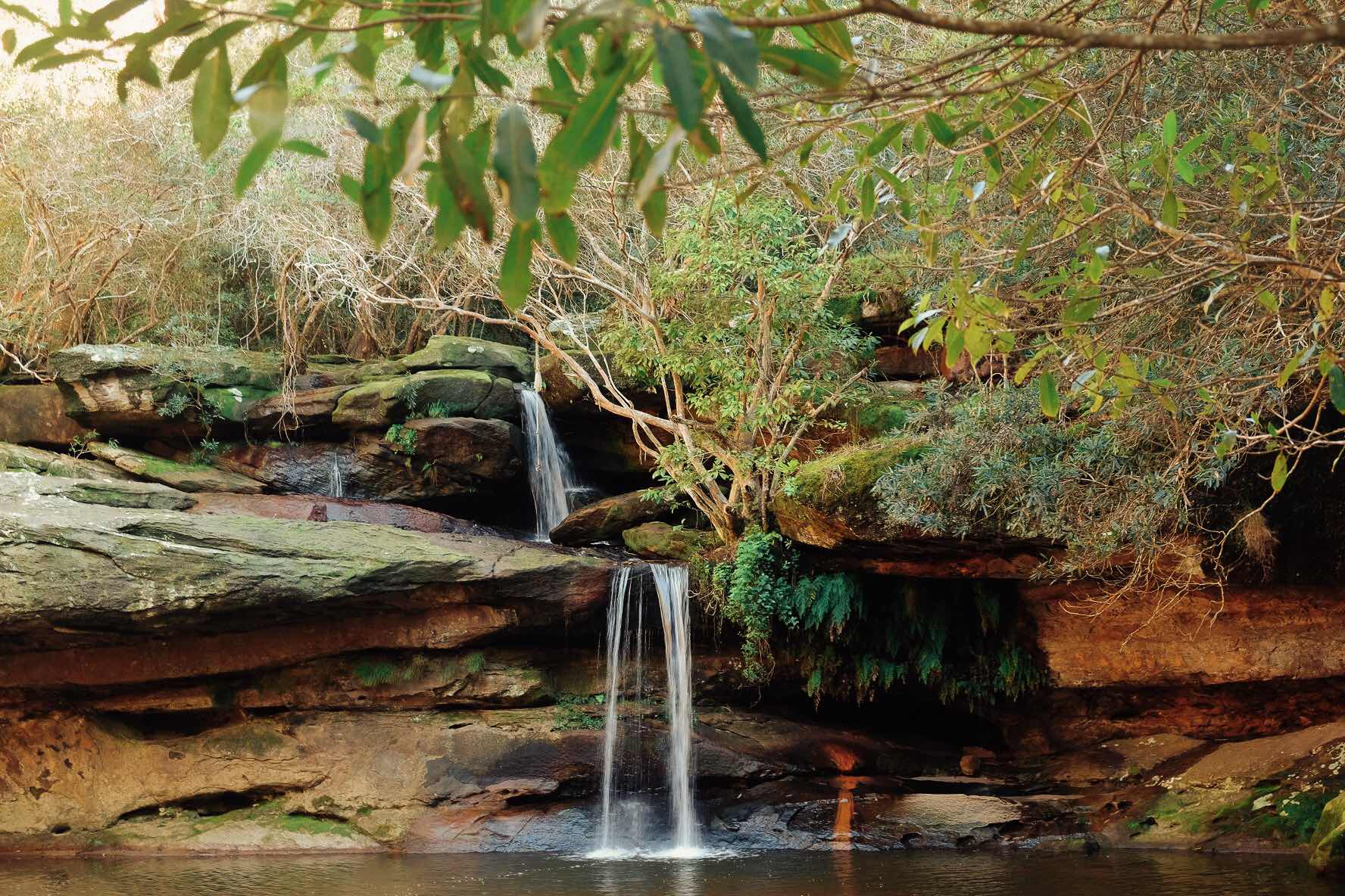 10 Adventures on Sydney's Northern Beaches (For When You Want to Get Out There Without Leaving Here),, Francesca Solloway, Irrawong Waterfall, bush