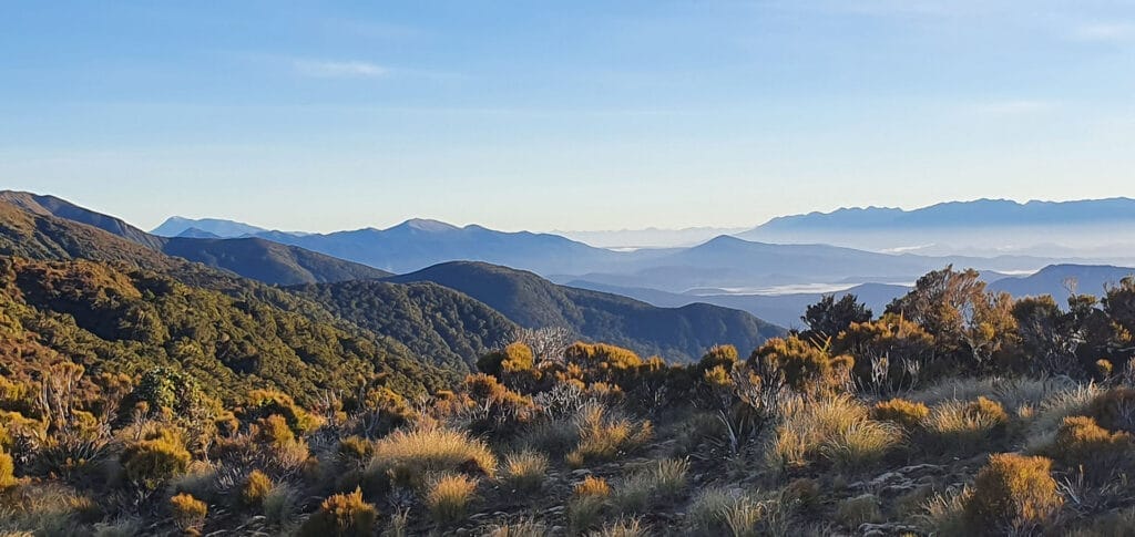 NZ’s 11th Great Walk, The Hump Ridge Track Opens Today, Beehive