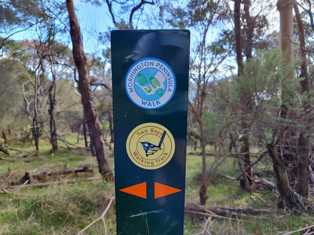 Arthurs Seat 12 Two Bays Walking Track