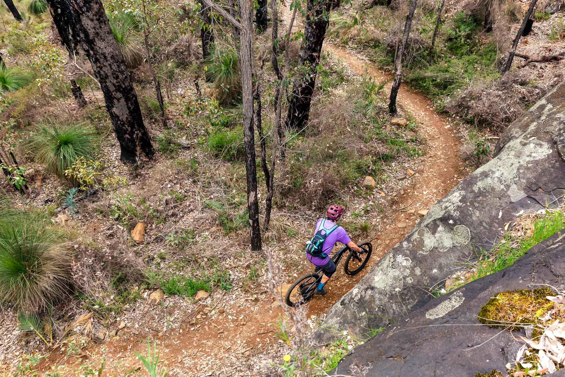 Collie WellingtonTrails TFrancis 2024 10 04 31 1