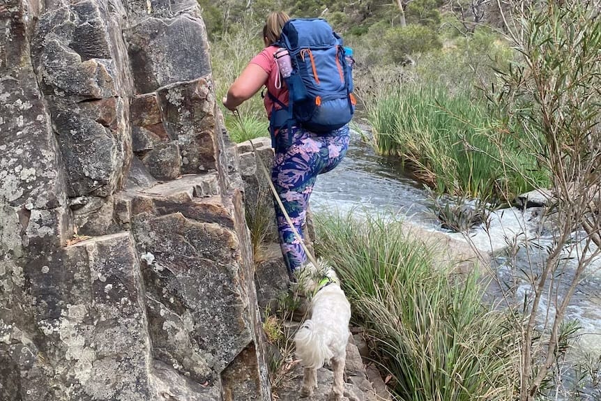 Elise Training with Lenny | image supplied by ABC Tasmania