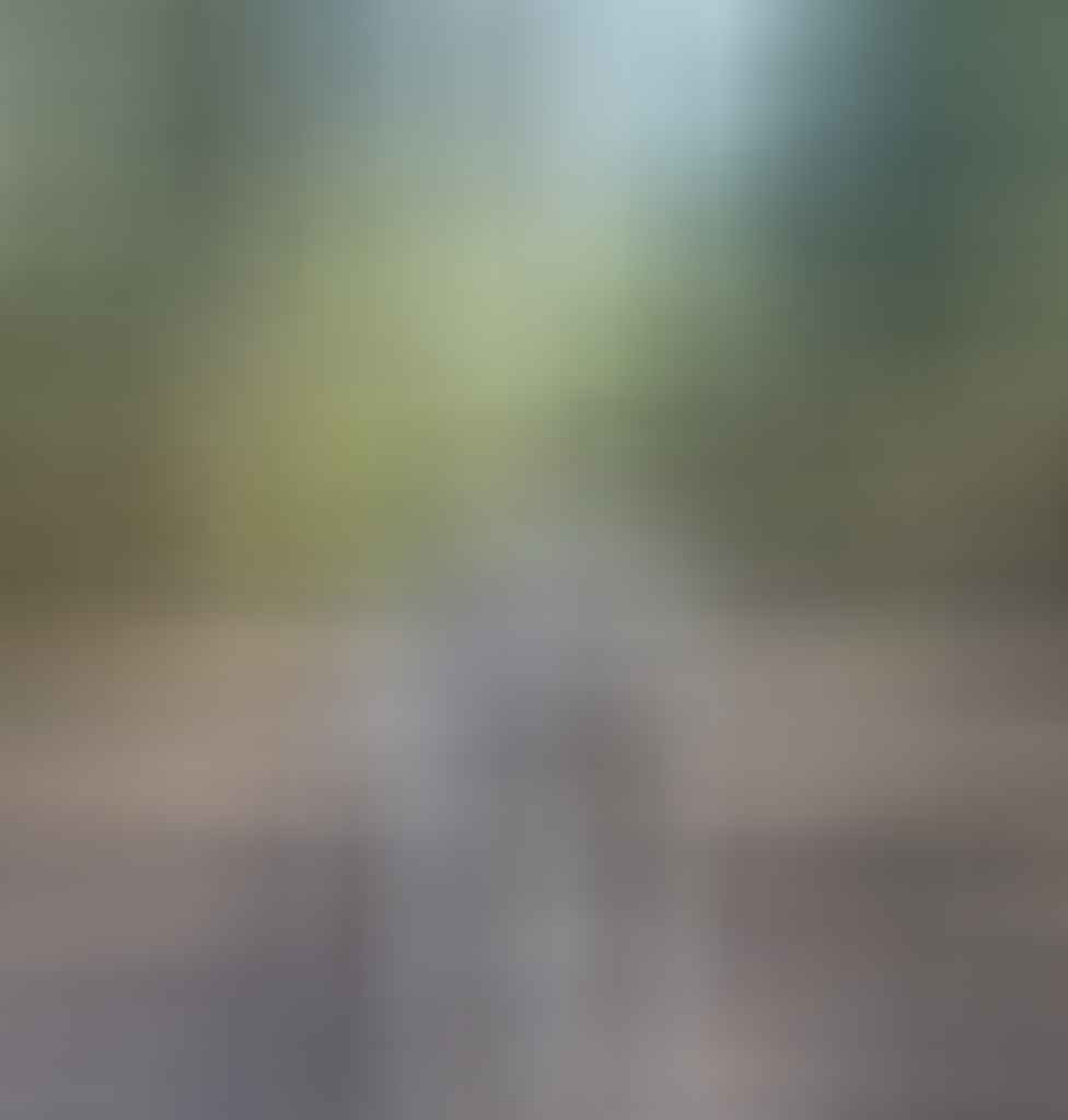 Lenny on the trail