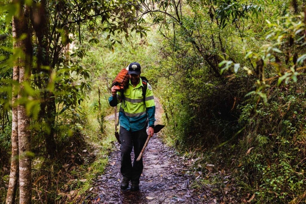 A Parks Victoria team member walks through temperate forest on a trail, carrying a bag and a shovel