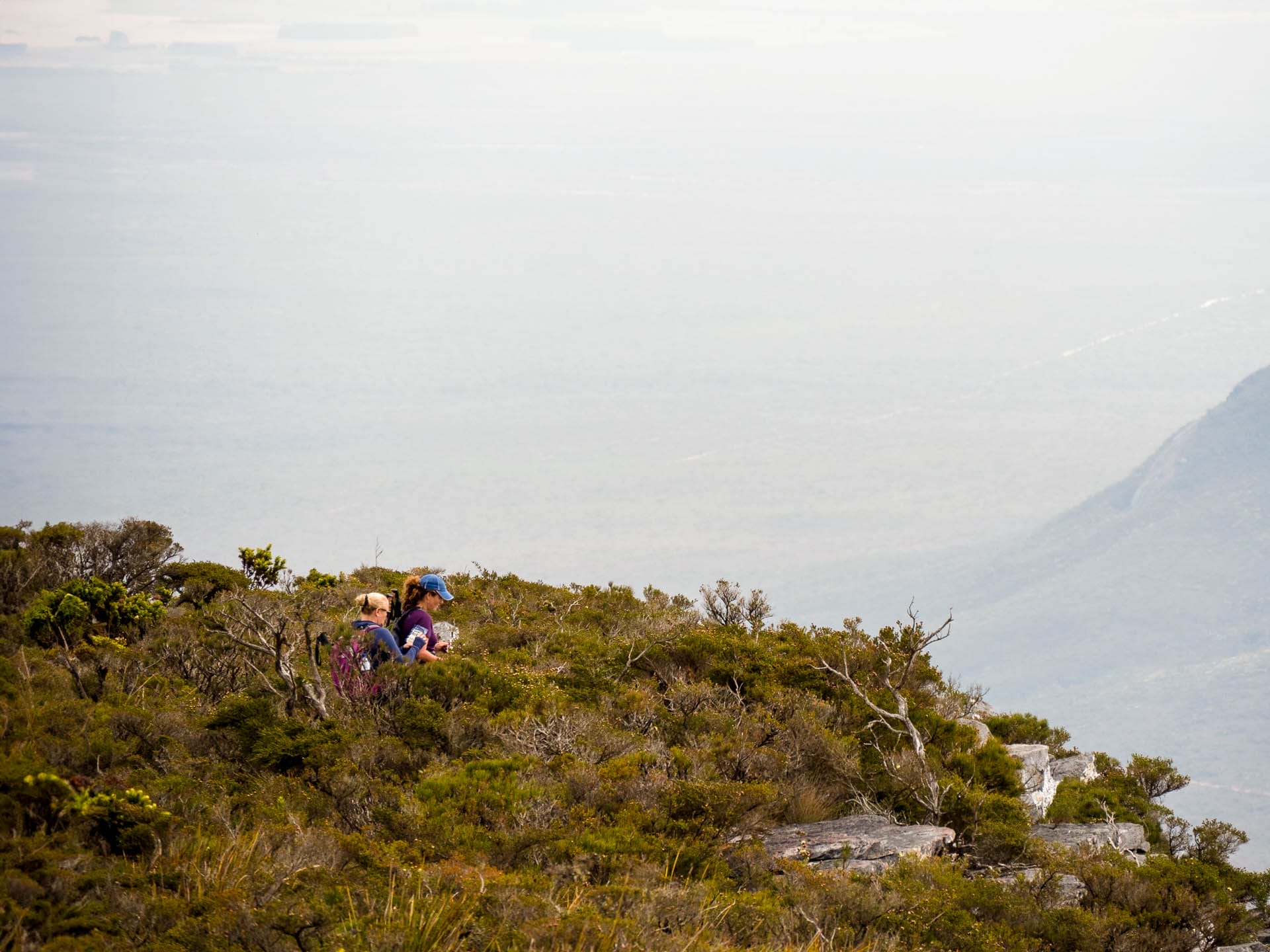 bluff knoll 1