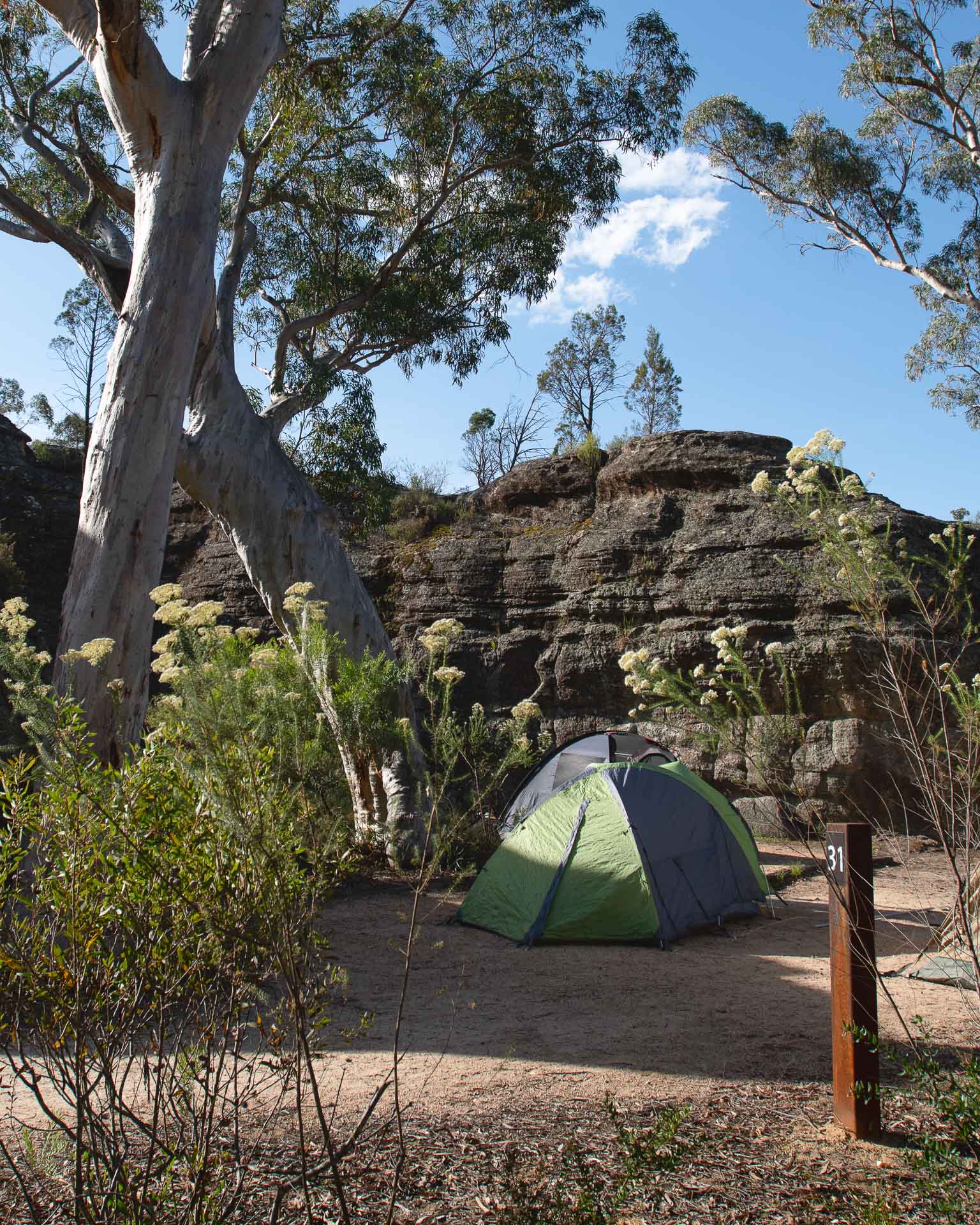 08 Ganguddy Dunns Swamp Campsite 2 Andrew Moore