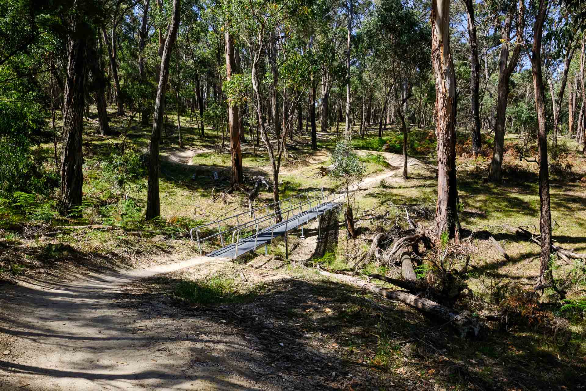 Creswick MTB 101