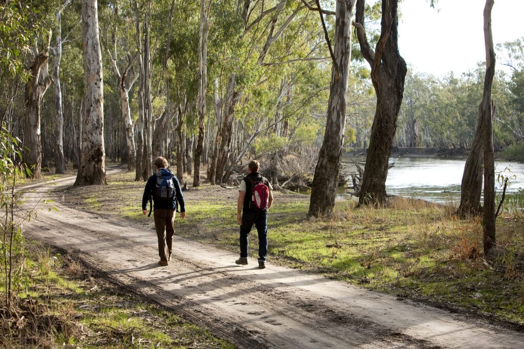 Hiking Murray River Adventure Trail Visit Victoria