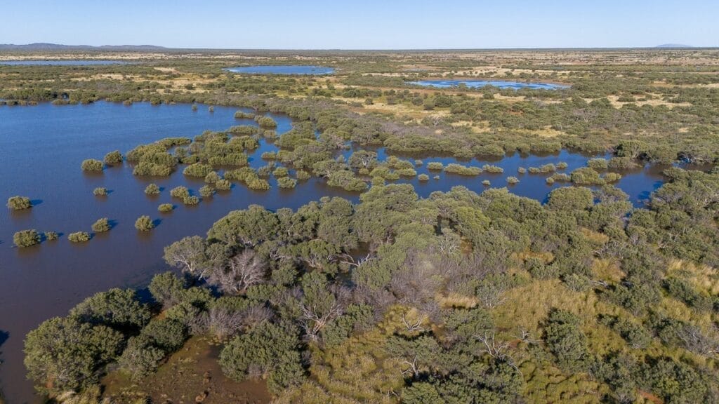 Blue Lagoon at Newhaven Wildlife Sanctuary, NT | Image Tim Henderson AWC