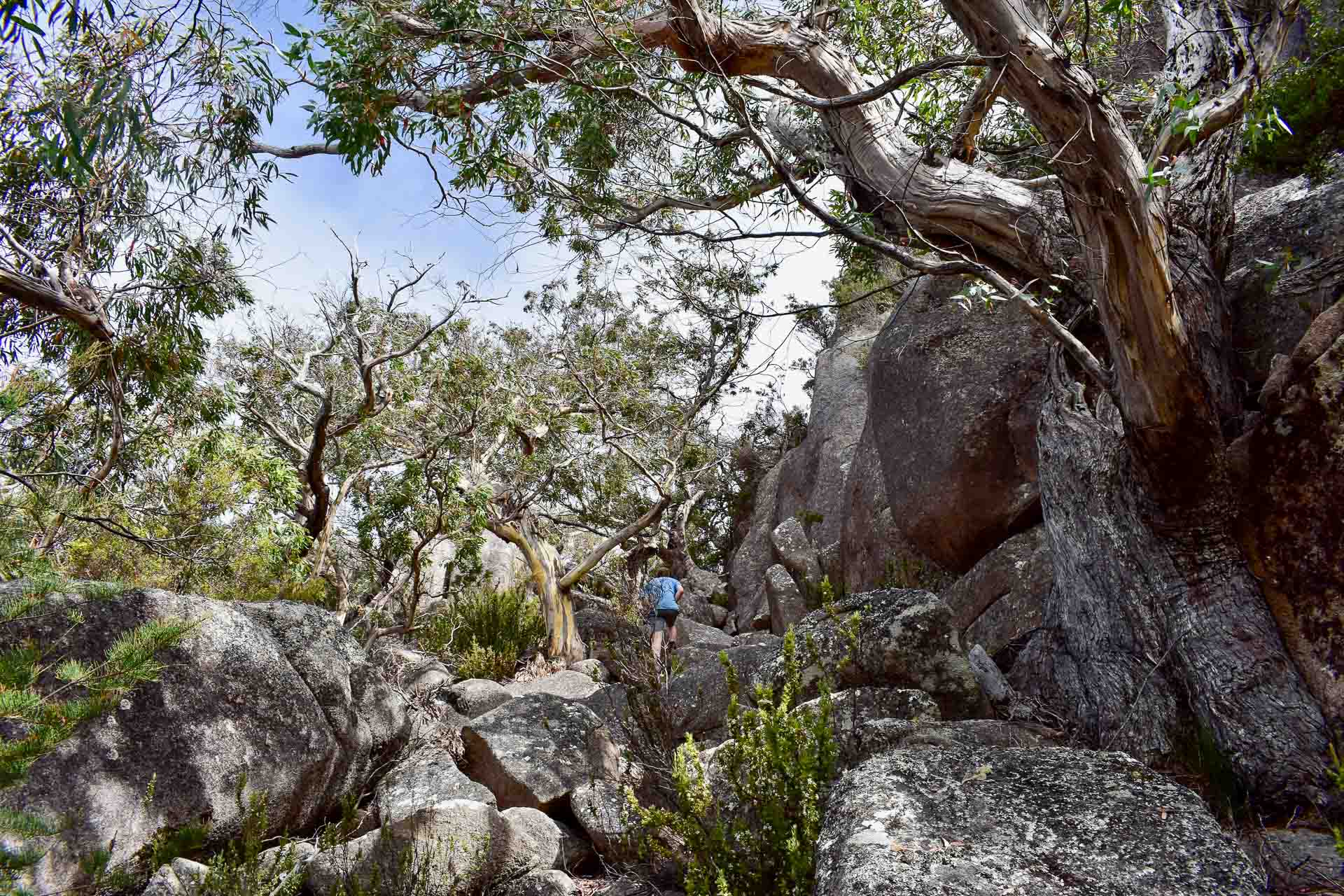 Freycinet Peninsula Circuit - An Iconic Hike on Tasmania’s East Coast, Shot by Emily Barlow, Mt Freycinet Summit