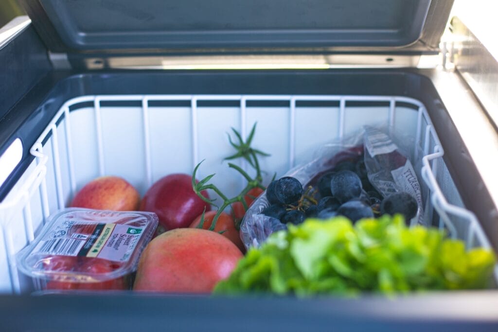 I Reluctantly Upgraded to the Dometic CFX5 Fridge And Have No Regrets, Casey Fung, Dometic, fridge, fresh food