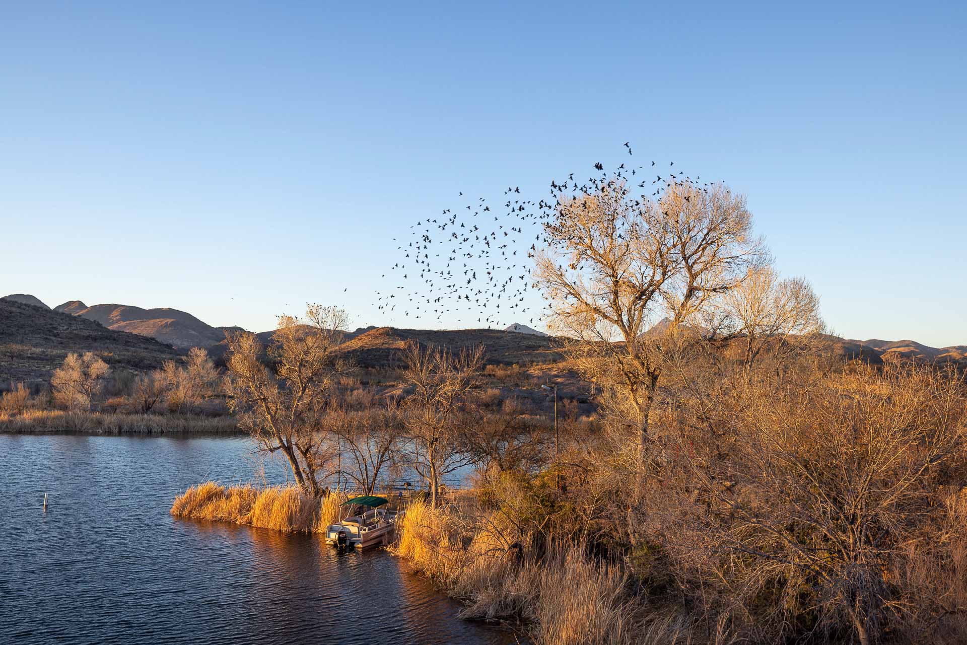 Patagonia Lake, Arizona, photo by Jess bonde, ari001,