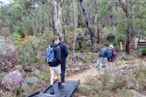 The 3 Types of Adventure Planners – Which One Are You?, Photo by Lisa Ikin, numbat trail