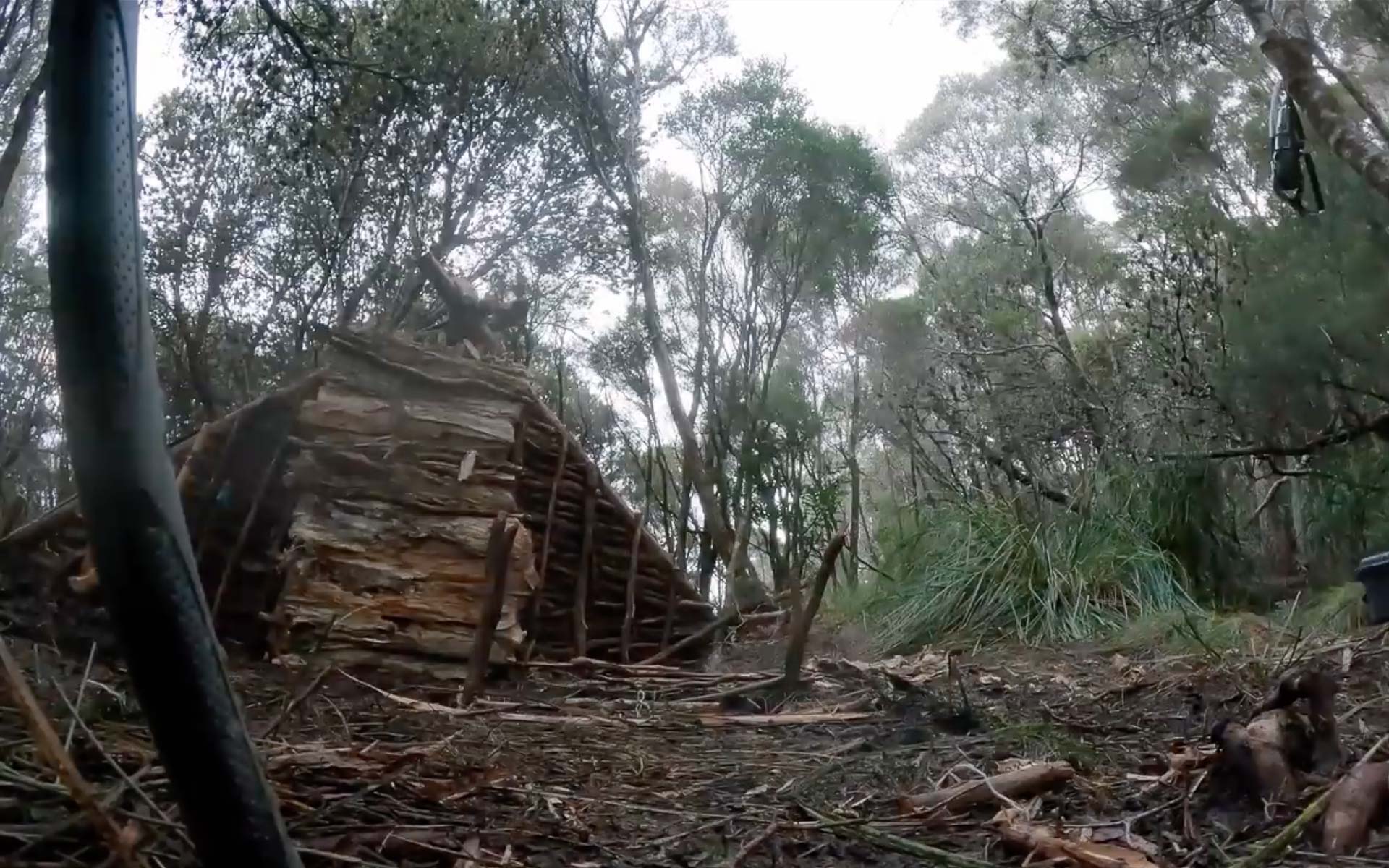 alone season 3 episode 4 sbs