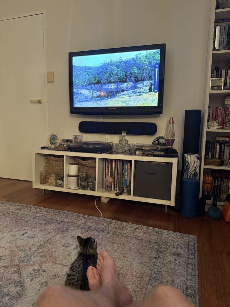 chardy watching alone, tim ashelford, cat, TV