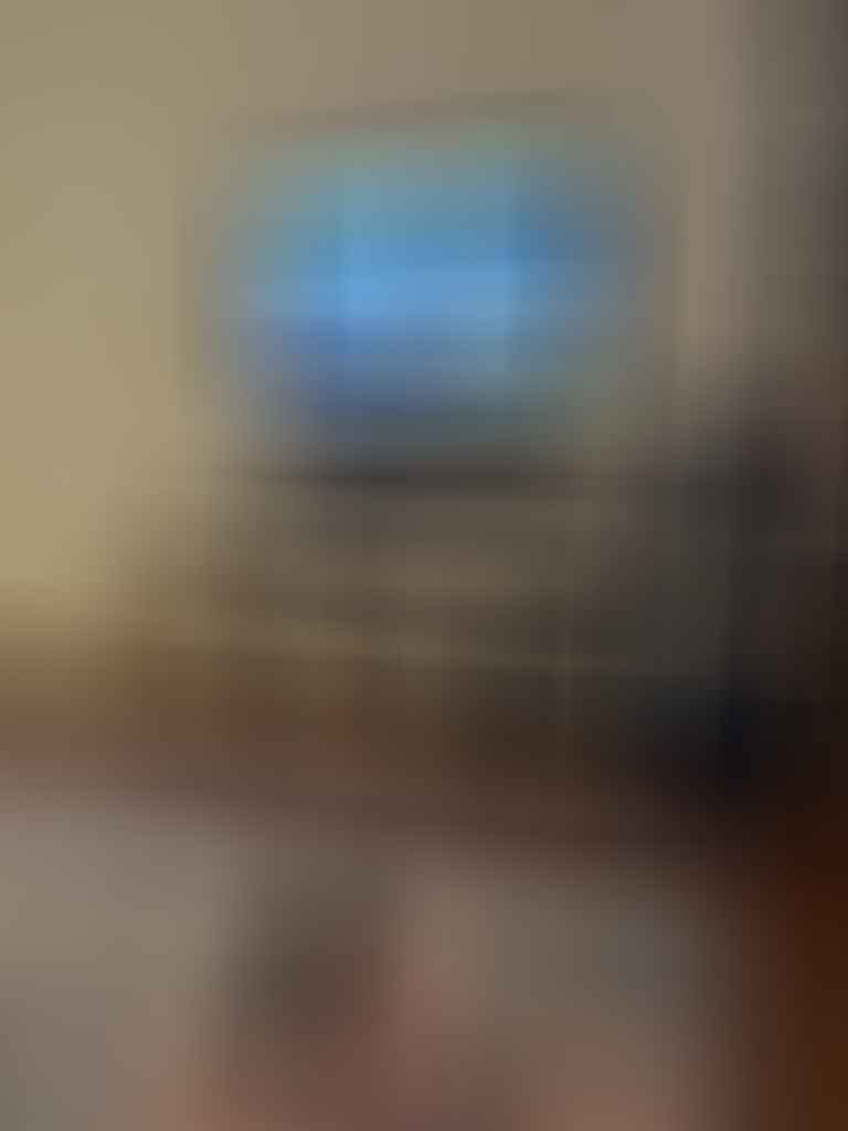 chardy watching alone, tim ashelford, cat, TV