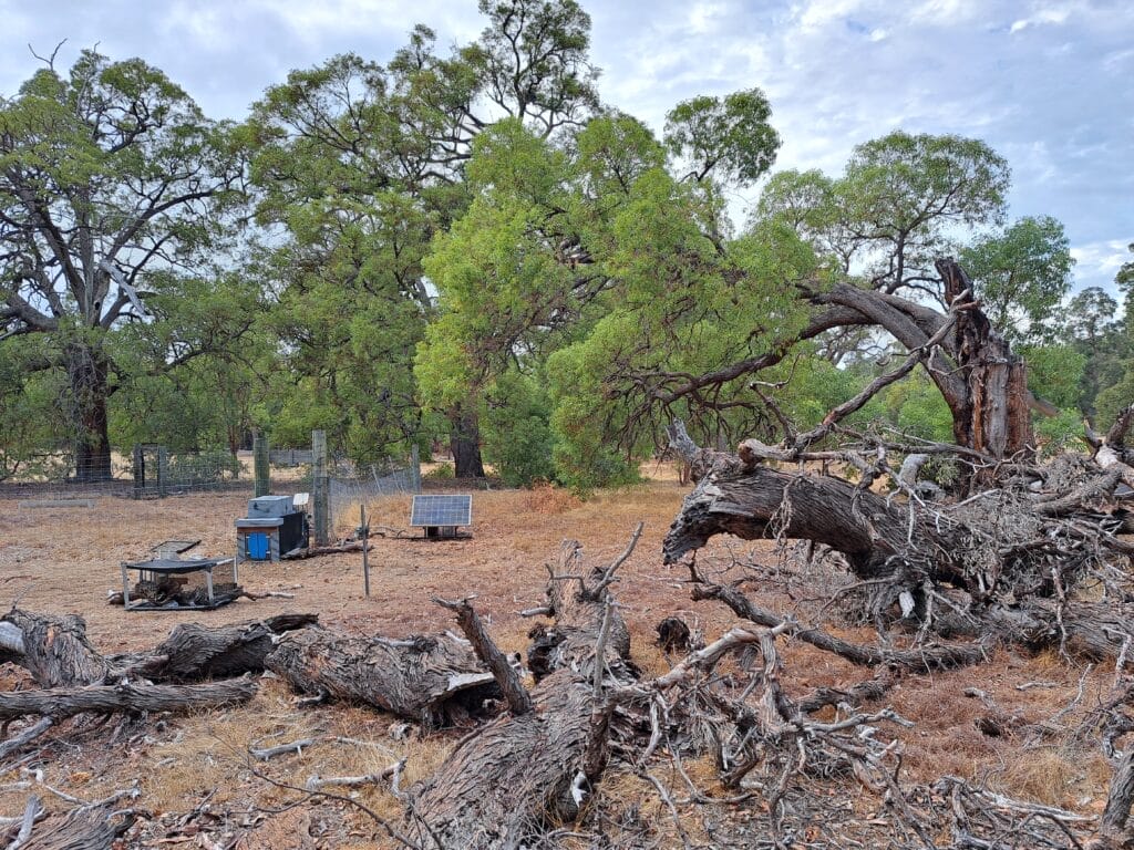 SmartGate AI prototype