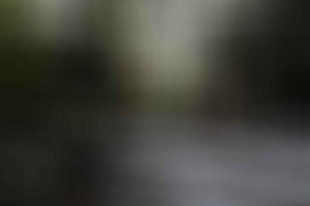 Low res - Sarah-Rees_©LiamNeal-08184