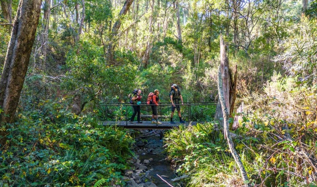 Hume and Hovell Track, Daygin Prescott, Reflections, hike, friends, forest, bridge