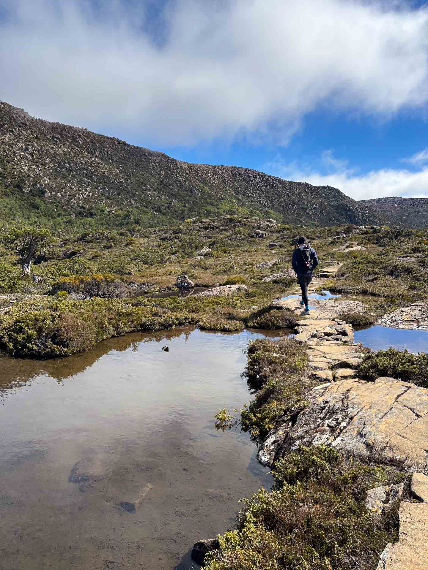 Which Lifestraw Peak Series Water Filter is Best For You? cleaning syringe, Photographer Caroline Kingsford alpine, nsw, water filtration