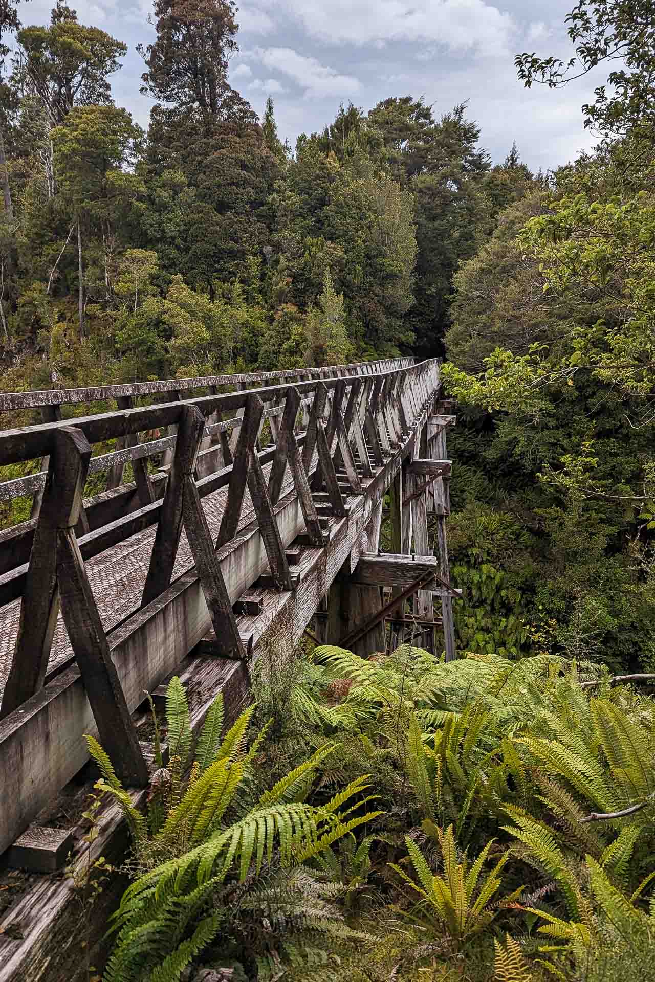 Day two historic viaduct, View from Stag Point, Hump Ridge Track 3-day Hike, Claire Brack, South Island, New Zealand, Great Walk