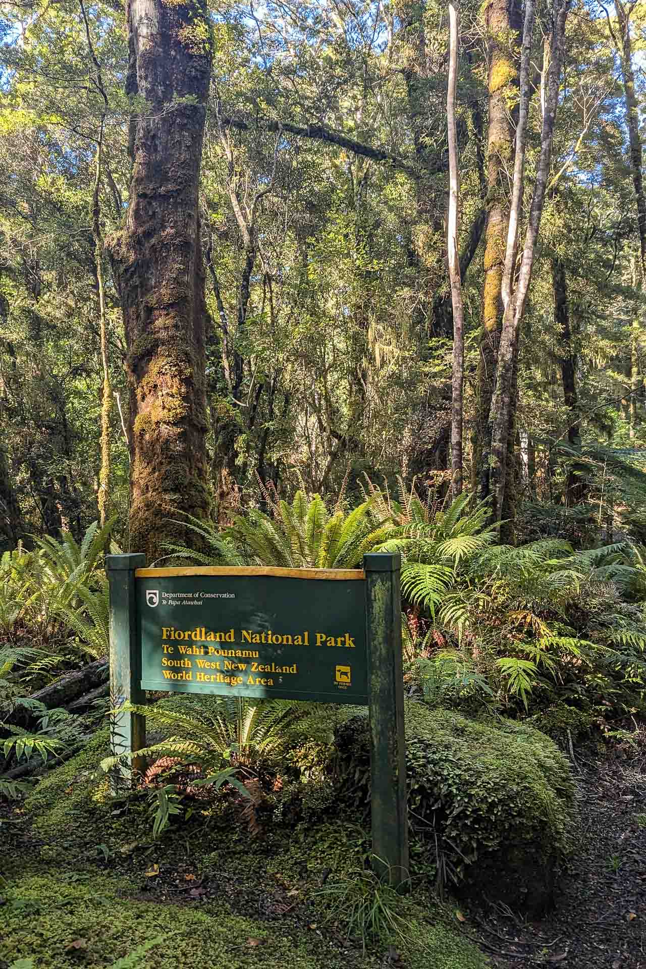 Entering Fiordland NP, View from Stag Point, Hump Ridge Track 3-day Hike, Claire Brack, South Island, New Zealand, Great Walk