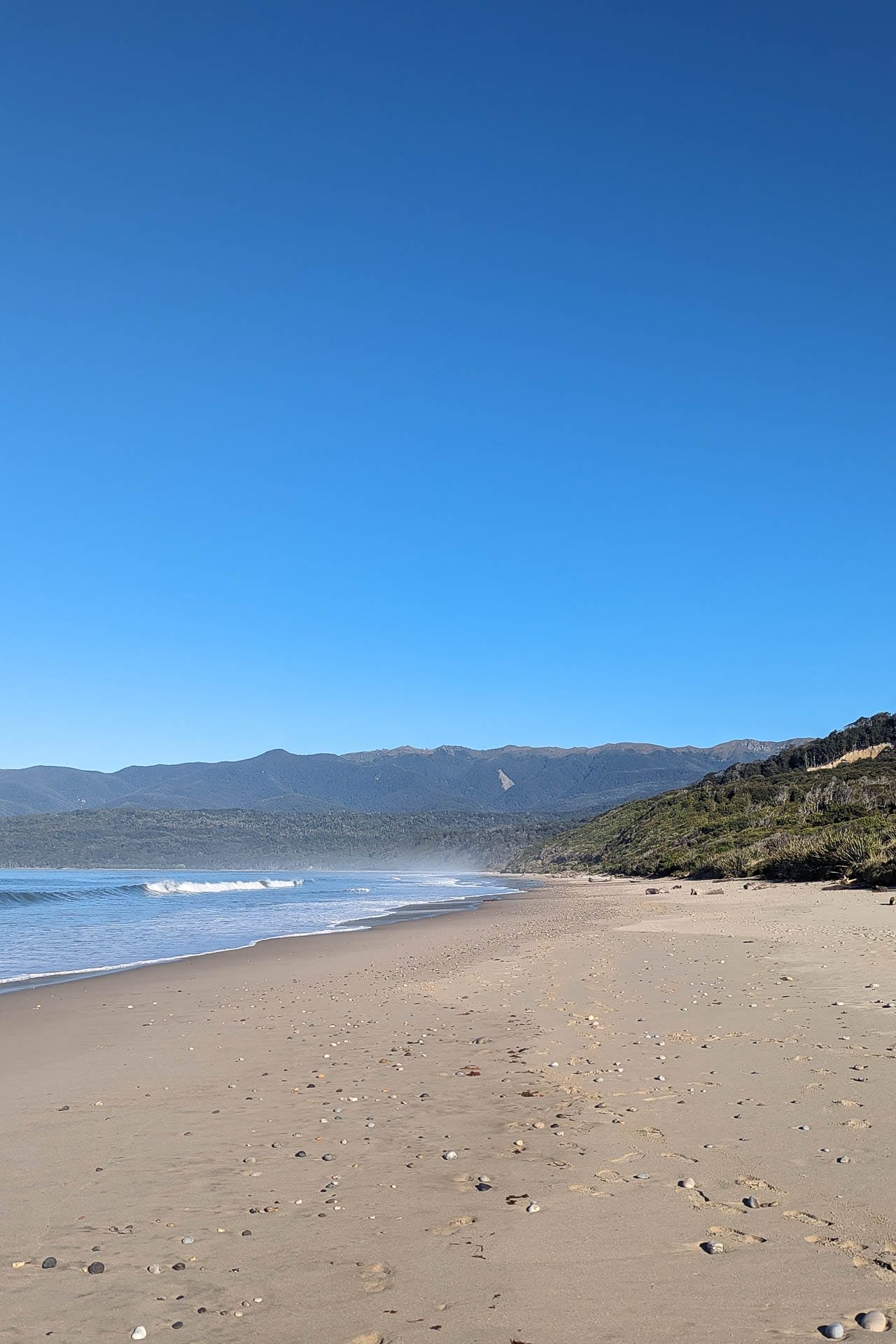 Day one walking towards the Hump Ridge, Hump Ridge Track 3-day Hike, Claire Brack, South Island, New Zealand, Great Walk