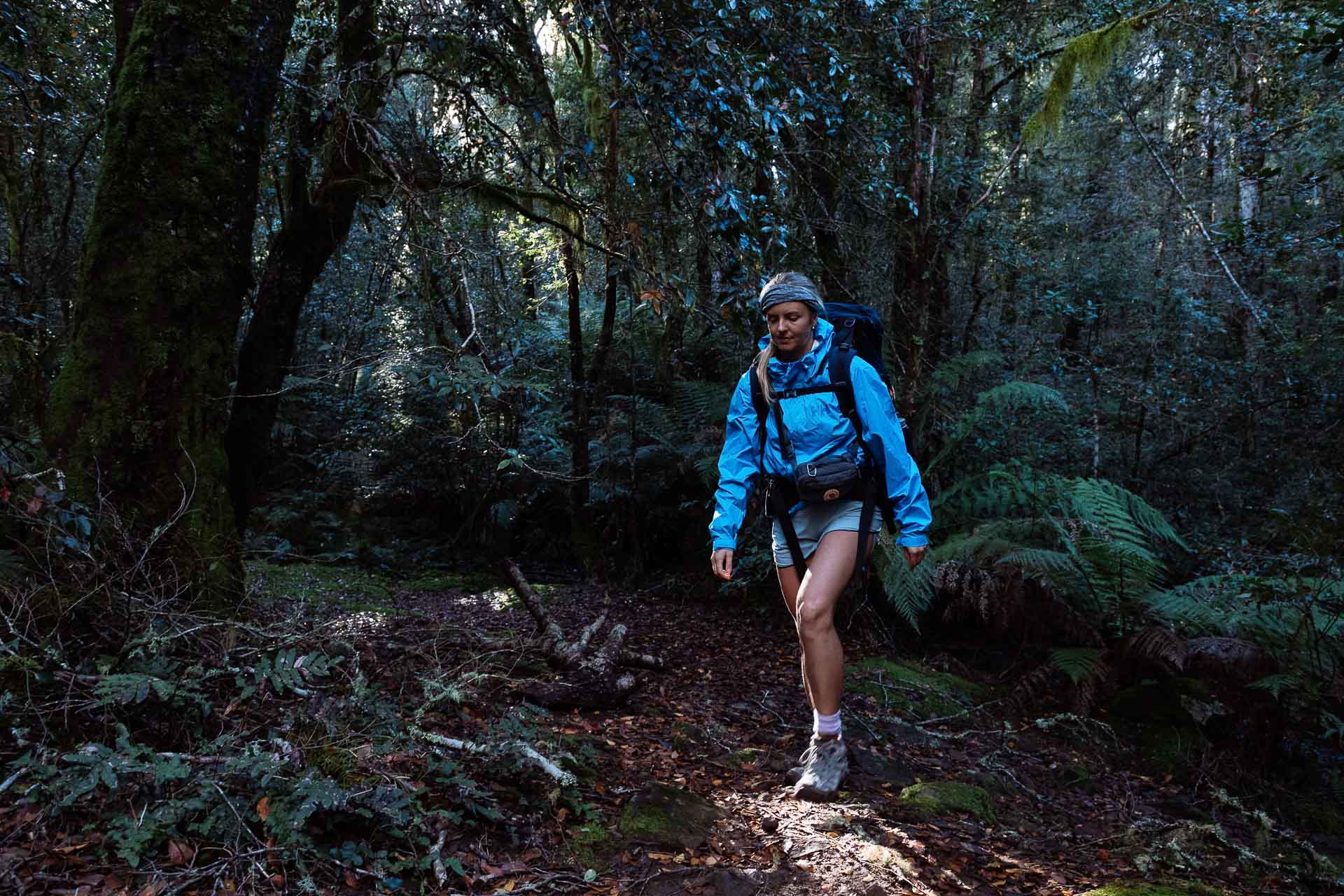 Affordable Norwegian Waterproof Tech – First Look at Helly Hansen's Loke 2.0 Jacket, Matt Wiseman, photos of Rach Holland, barrington tops, nsw, rain jacket, walking