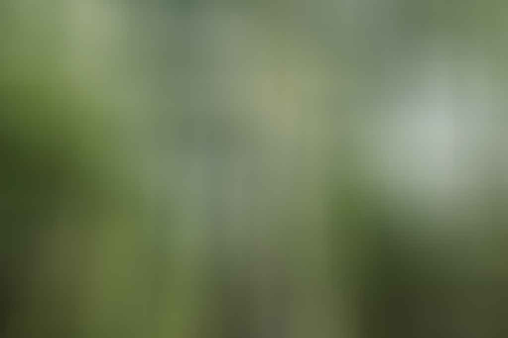 Waulinbakh Wildlife Sanctuary