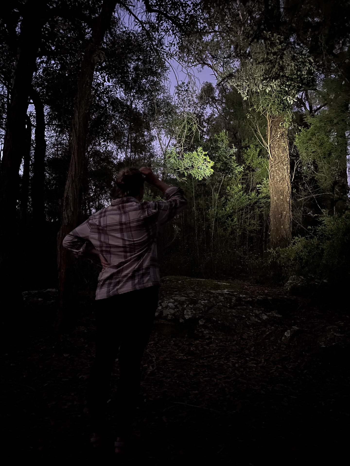 Nitecore NU20 Classic Headlamp – Reviewed & Tested, Julia Aebi, ultralight head torch