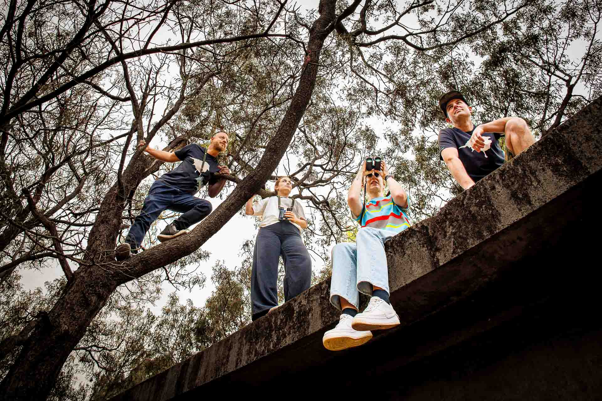 This New Brand is Aimed at…Birders? LYFER - Lifestyle - Models in Trees