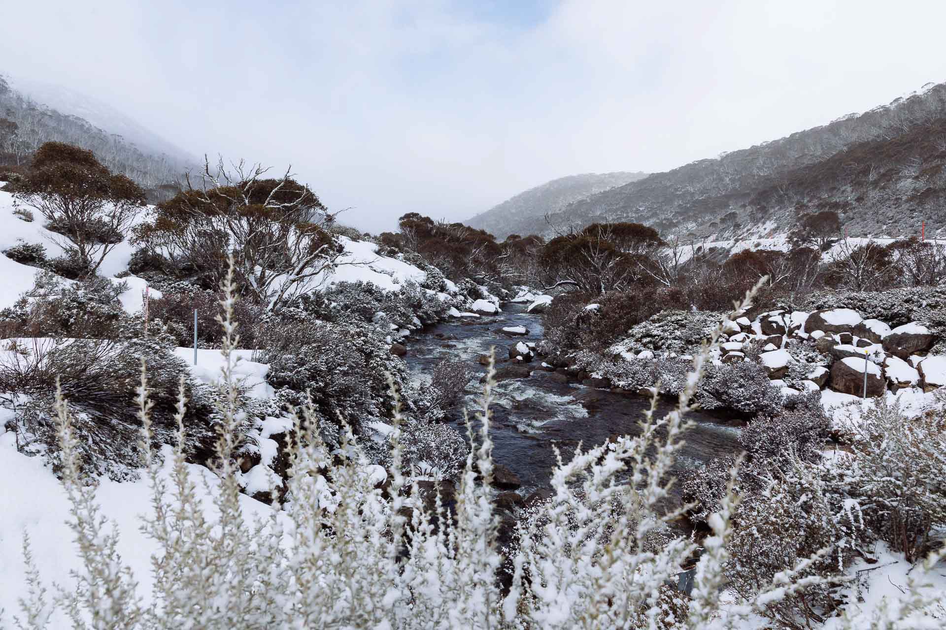 7 Tips to Make the Most of The Snow in Australia, matt wiseman, photos by matt wiseman, perisher, skiing, helly hansen, snowy river