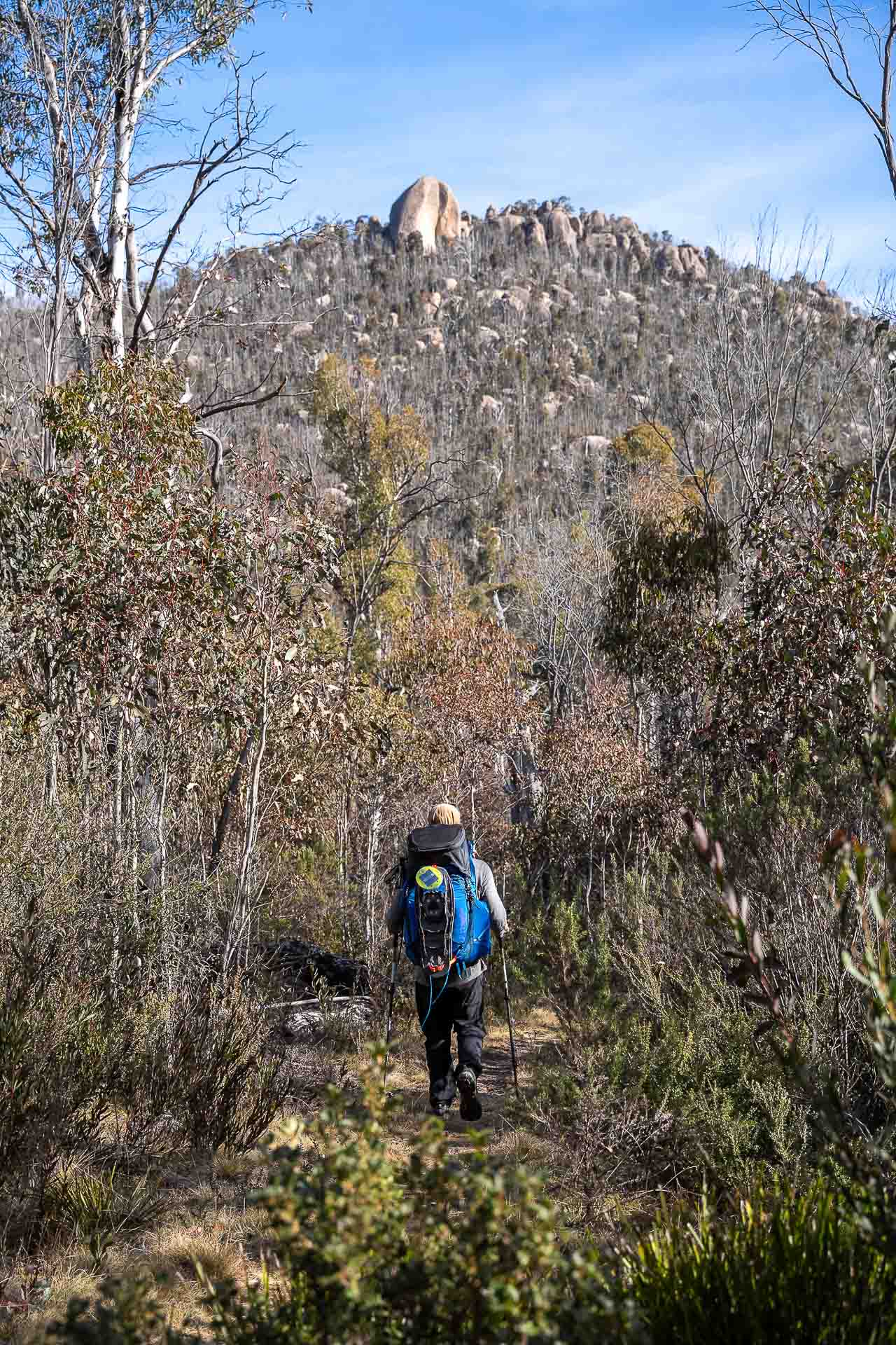 Mont Xen LT Softshell Pants – Reviewed & Tested, bimberi wilderness, jon harris, ACT, mountain