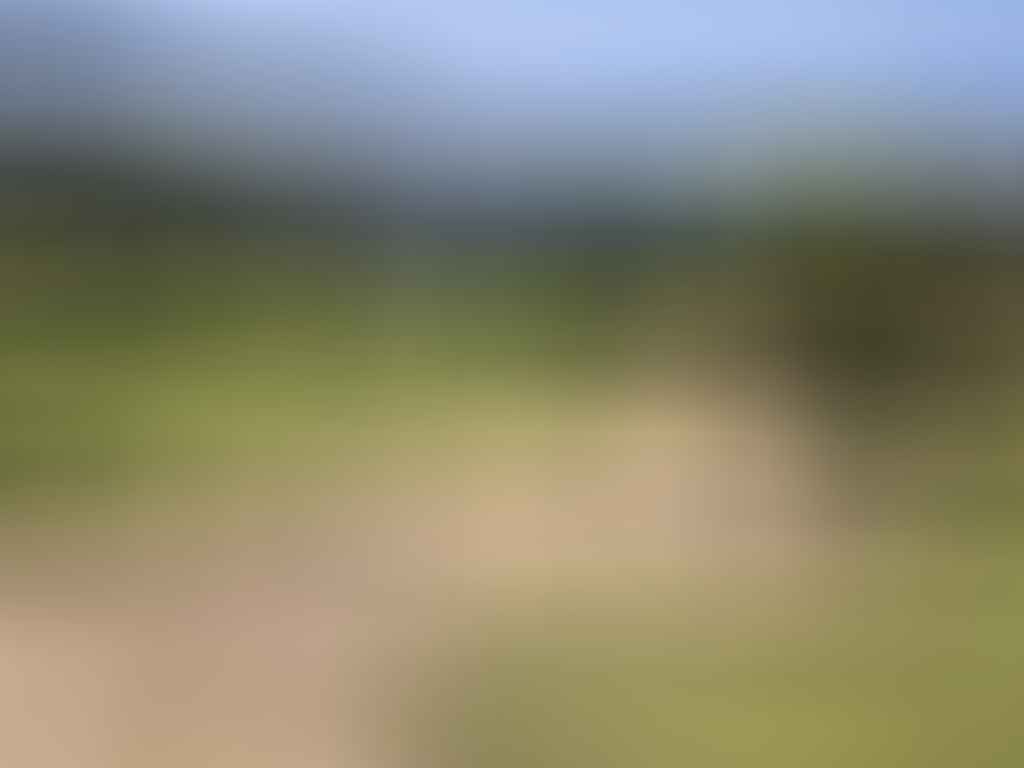 Mountain Bike Trails Illawarra