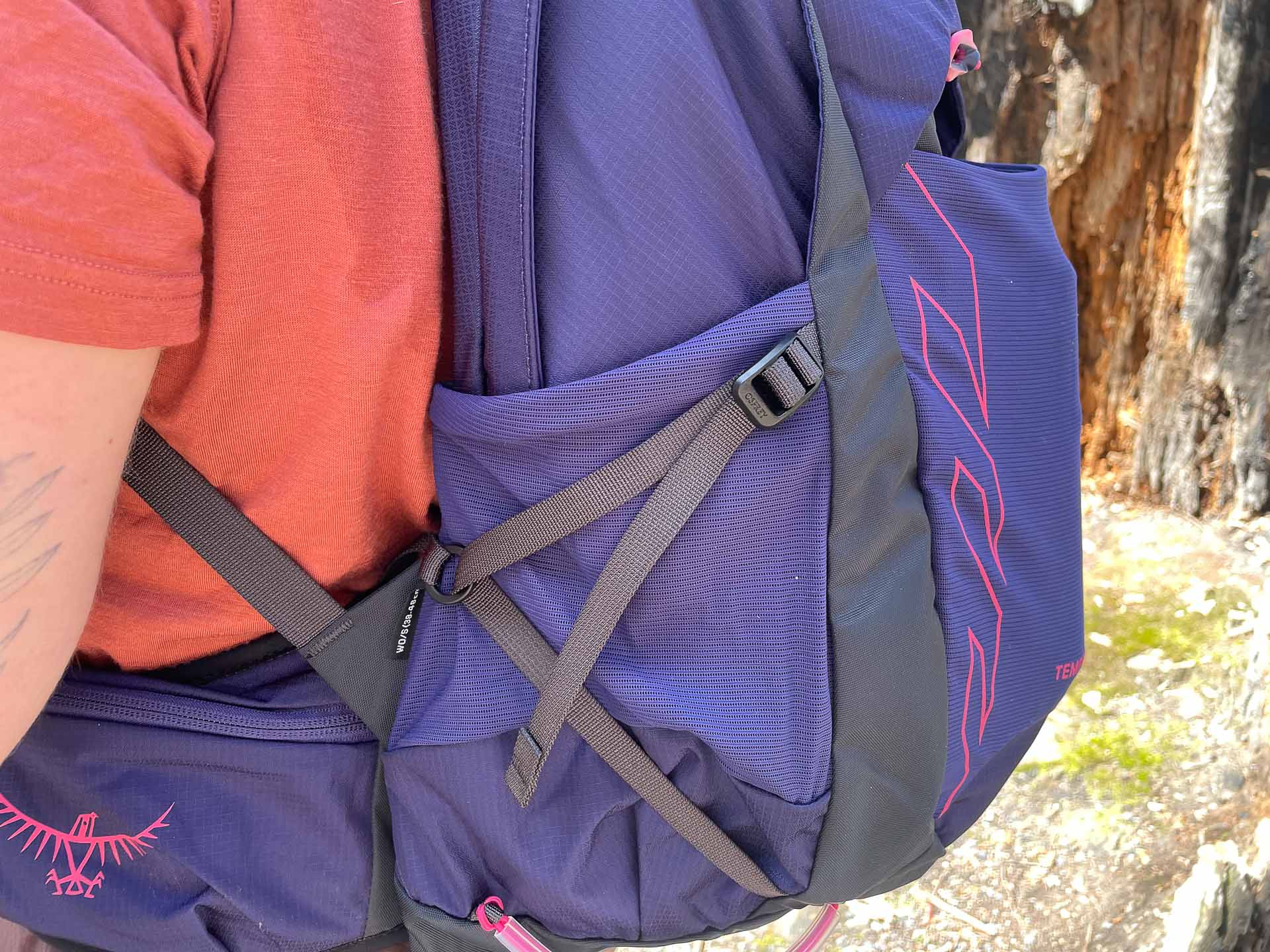 Osprey Tempest 22 Hiking Pack – Reviewed & Tested, julia aebi, day hikes, daypack, purple, bottle pocket