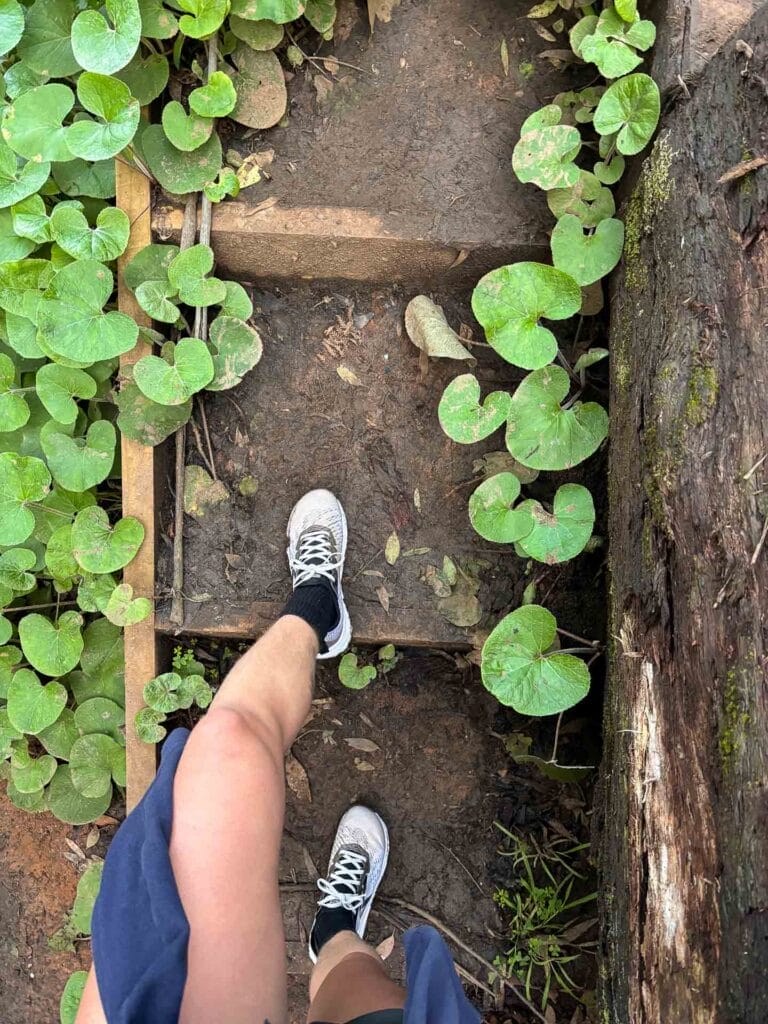 Keen Seek Trail Running Shoe – Reviewed and Tested, review by Pippa Salmon, stairs