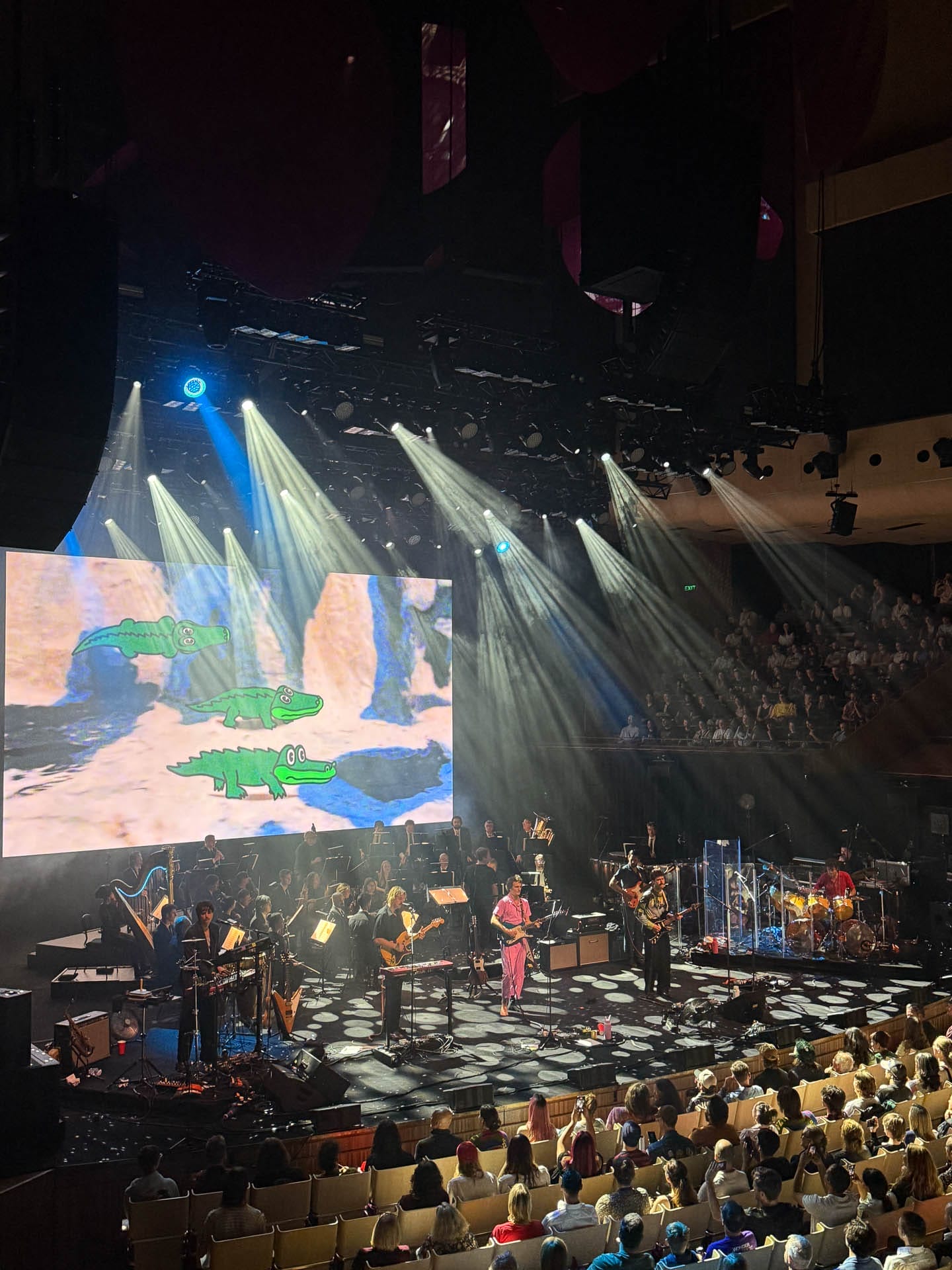 Can a One-Minute-A-Day App Help You Go on More Adventures? I Gave It a Go, tim ashelford, king gizzard and the lizard wizard at the opera house