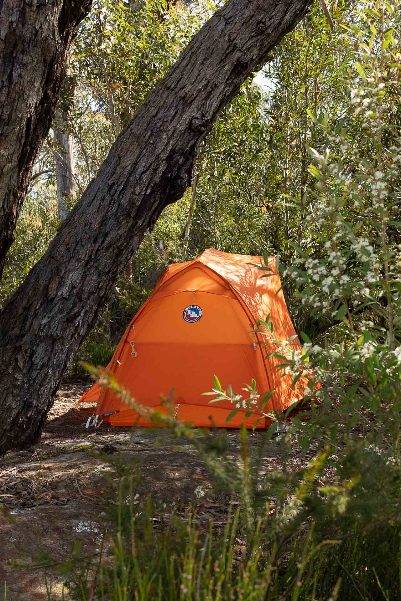 Big Agnes Copper Spur UL1 3 Season 1 Person Hiking Tent – Tested & Reviewed, photo by Tim Ashelford, Splendour Rock, Blue Mountains, narrow