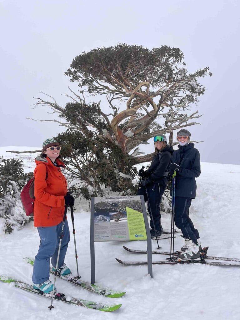 Mt Stirling Summit Tree, ski touring, backcountry skiing, snow, mountain, alpine tree, informational sign, friends, Australian Alps, Victoria