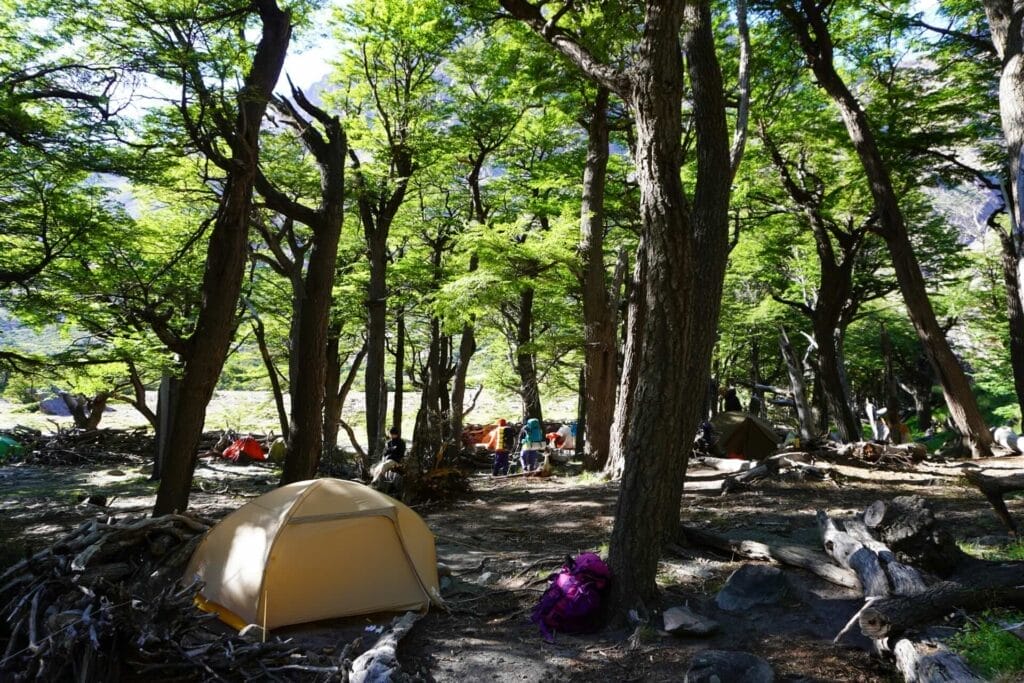 Huemul Trek Campsite, Patagonia, Los Glaciares National Park, El Chaltén, Argentina, by Hayley, forest, tents, hikers, remote camping, dappled sunlight, lenga trees, trekking