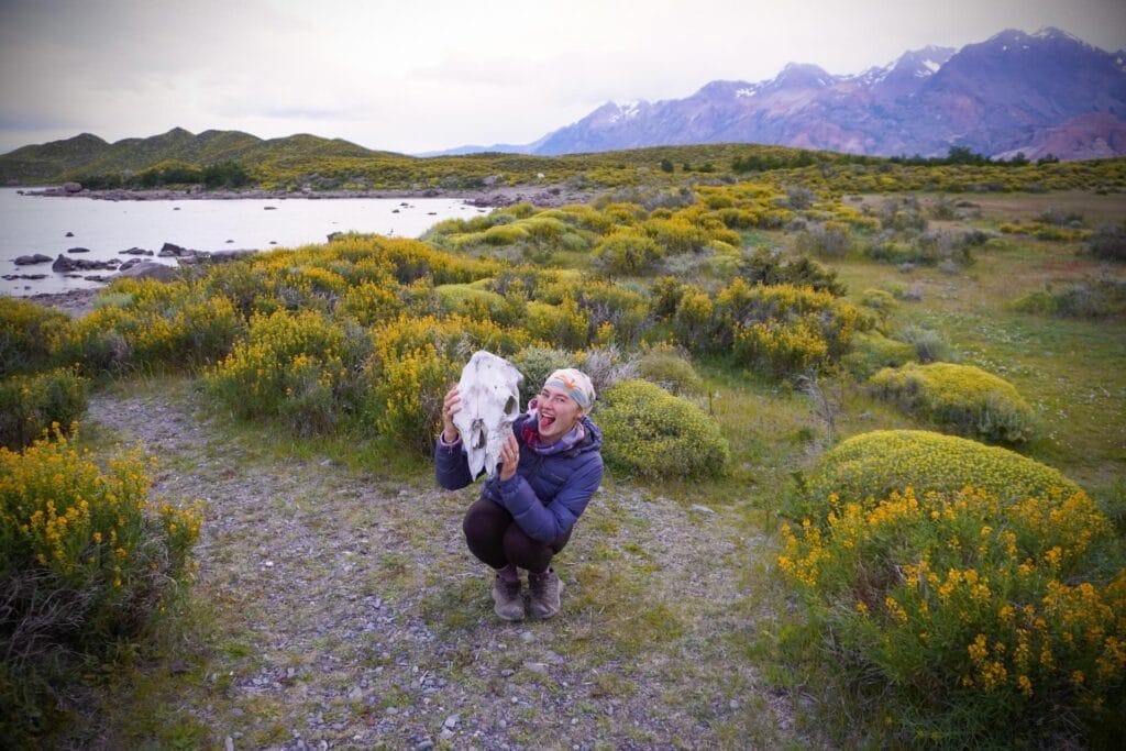 Huemul Trek, Patagonia, by Hayley, woman, cow skull, yellow flowers, snow-capped mountains, lake, El Chaltén, Los Glaciares National Park, Argentina
