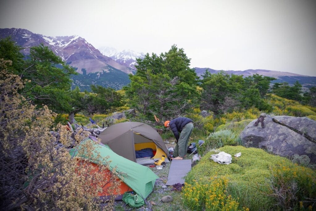 Huemul Trek, Patagonia, Los Glaciares National Park, wild camping, tents, snowy mountains, wildflowers, hiker, wilderness, by Hayley