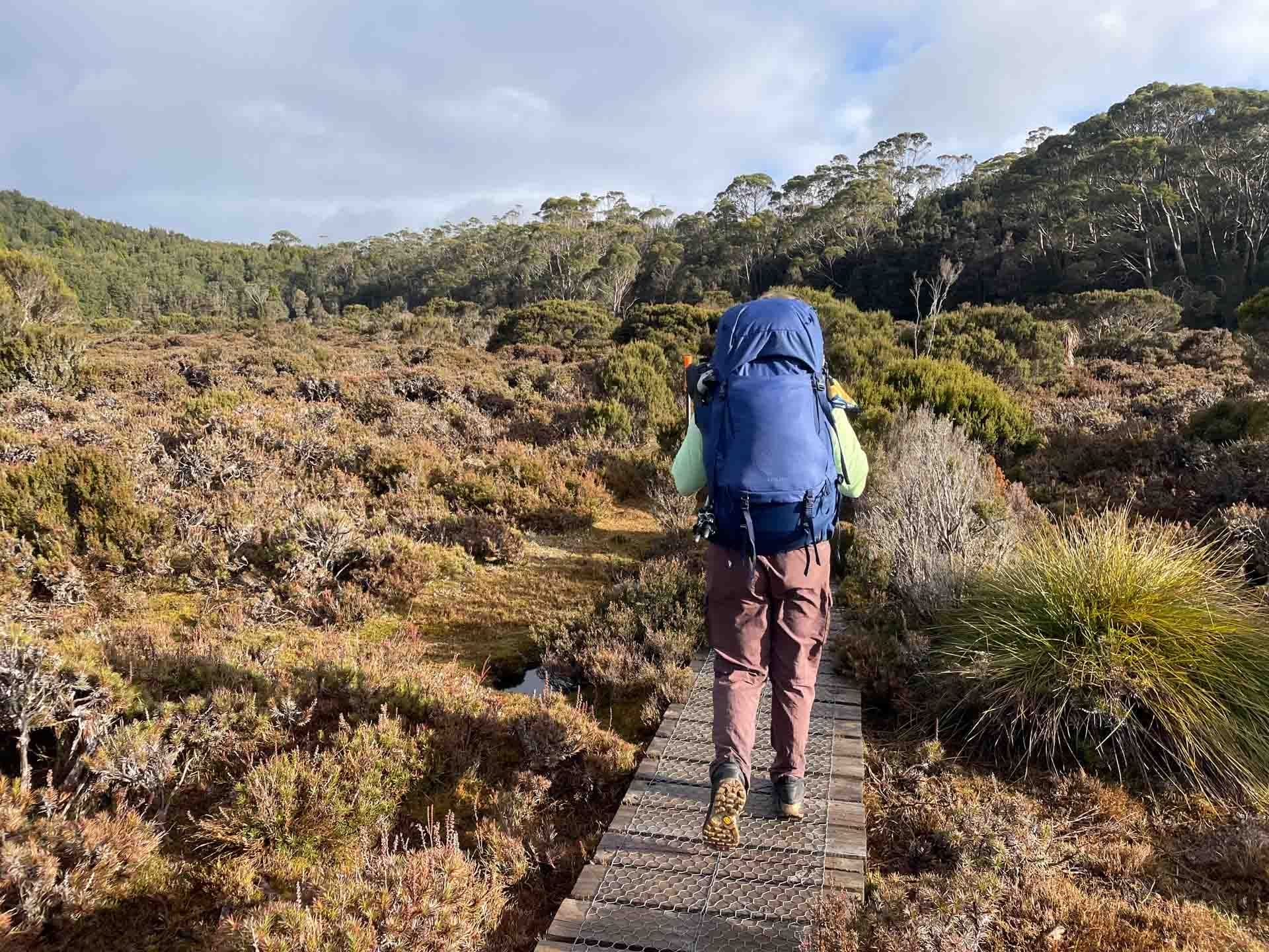 Overland Track, Tasmania, hiker with Osprey Kyte 65 hiking pack, wooden boardwalk, dense bushland, eucalyptus forest, multi-day adventure