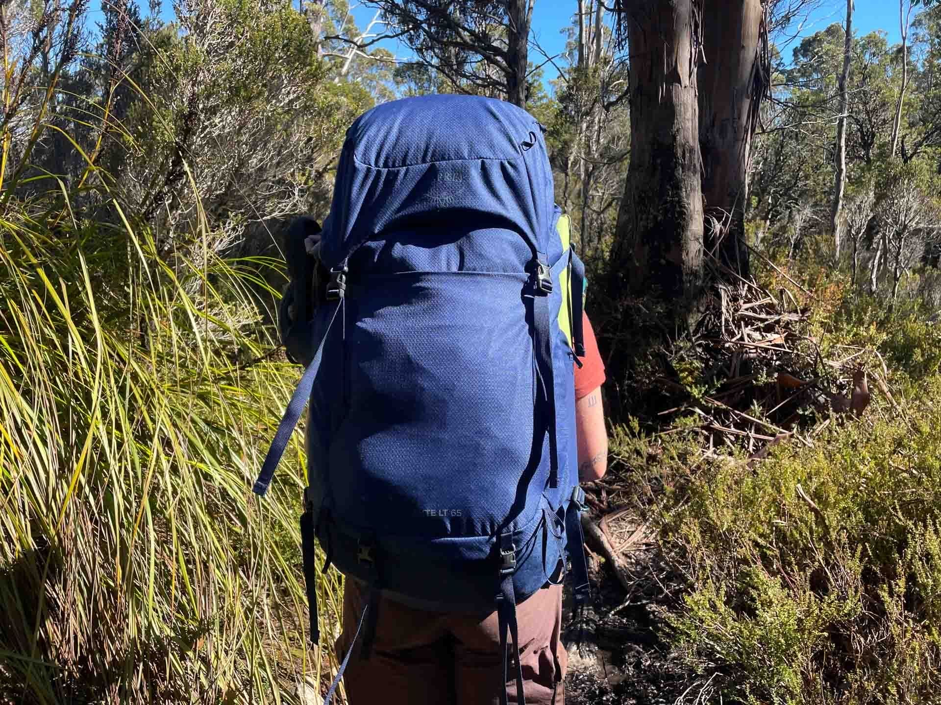 Osprey Kyte 65 Hiking Pack, Overland Track, Tasmania, by Explorer Julia, hiking, trail, forest, bushland, sunny day, multi-day adventure