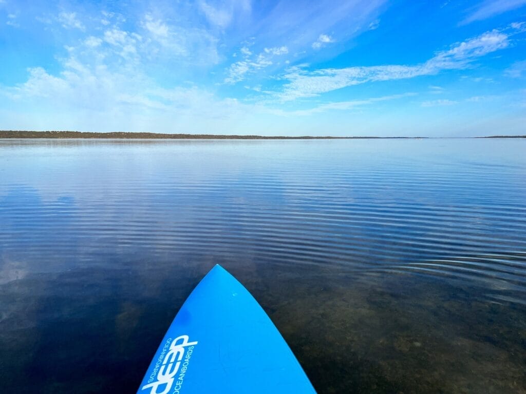 Paddling Herron Point, by Lisa Ikin, blue paddleboard, calm water, blue sky, Peel-Harvey Estuary, Yalgorup National Park, Western Australia
