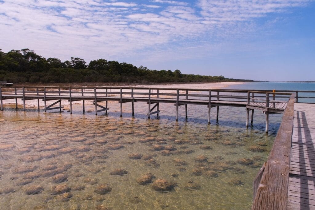 Lake Clifton Thrombolites, Yalgorup National Park, Western Australia, by Lisa Ikin, wooden boardwalk, clear water, living fossils, ancient microbial structures, lake shore, nature