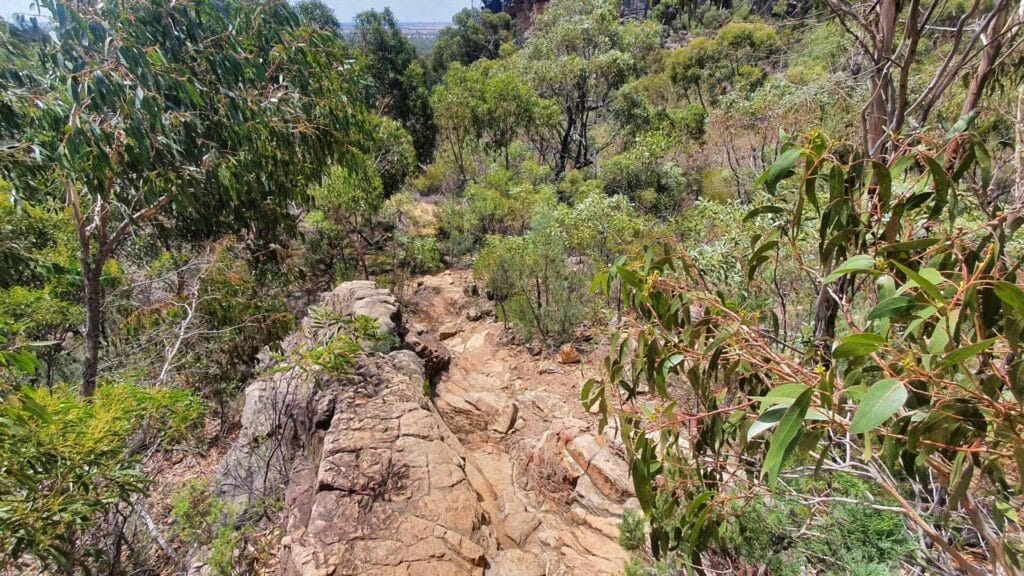 Grampians National Park, Hollow Mountain trail, rocky path, steep descent, Australian bushland, eucalyptus trees, hiking