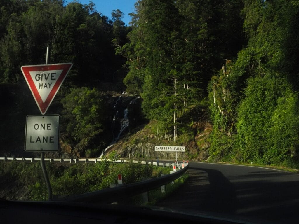 Sherrard Falls, Bellingen Shire, Waterfall Way, winding road, dense rainforest, mountain pass, one lane, give way, road signs, guardrail
