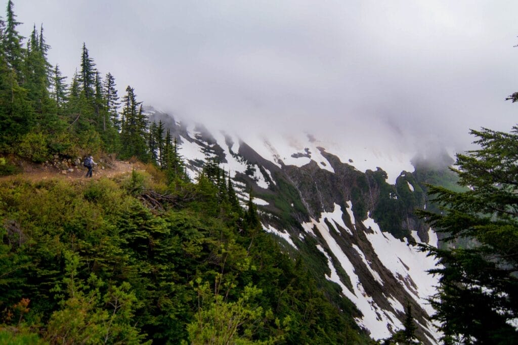 Mountain hiking, by Andrea Salus, person hiking, coniferous forest, snowy peaks, foggy mountains, adventure, outdoors